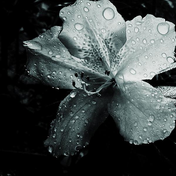 New attached image