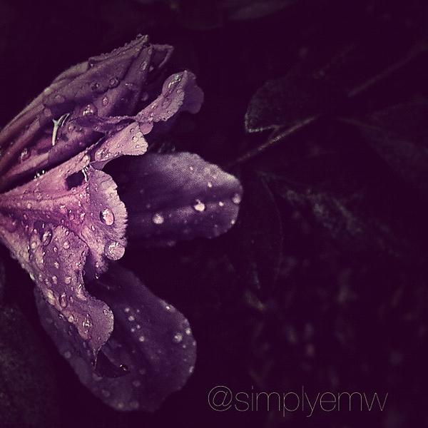 New attached image