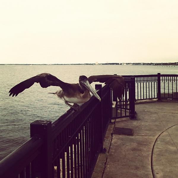 New attached image