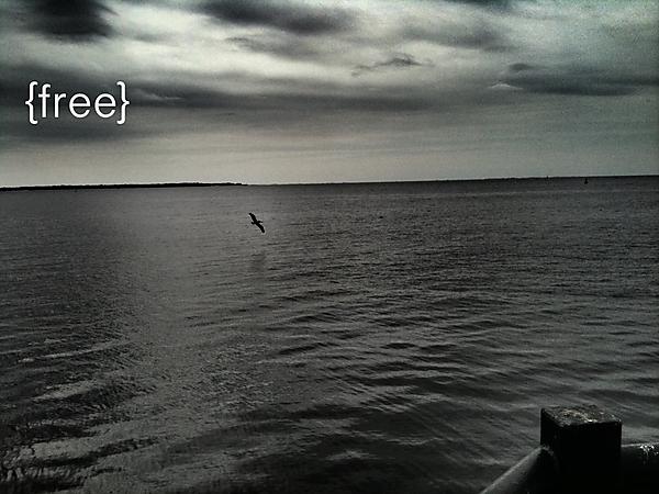 New attached image