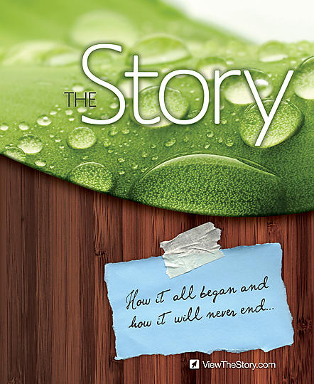 The Story Cover