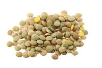 Lentils