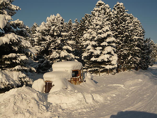 Typical NW Montana Winter