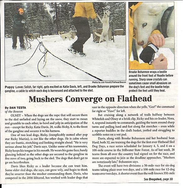 Flathead Beacon2of3