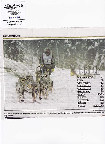 DogTeam