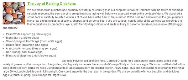 CWG Eggs