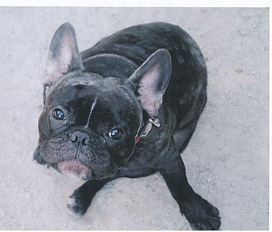 We want to welcome Kramer And who wouldn8217t love this face