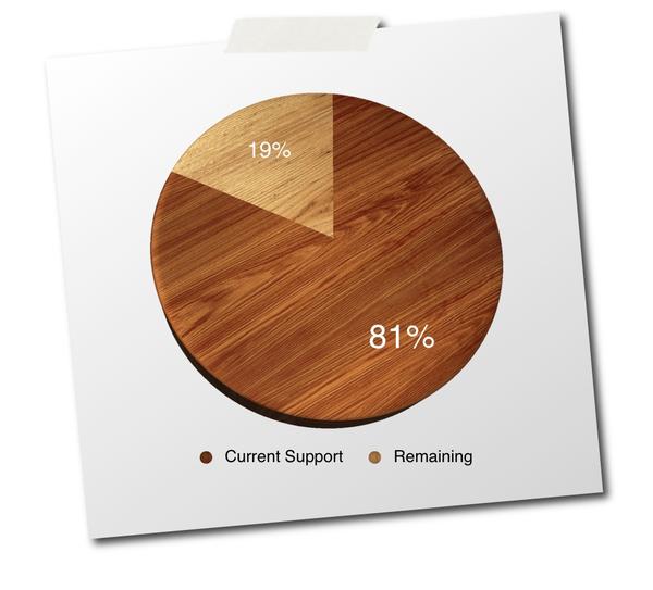 Current Support April 2010