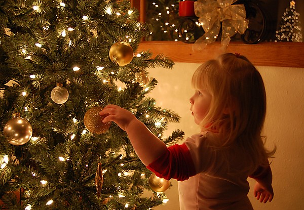 EmilyTree