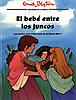 The Baby among the Reeds (Spanish)
