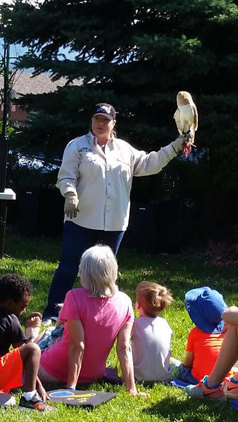 woman holding barn owl