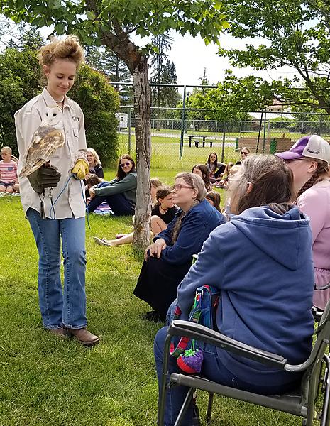 handler holds Igor the Barn Owl