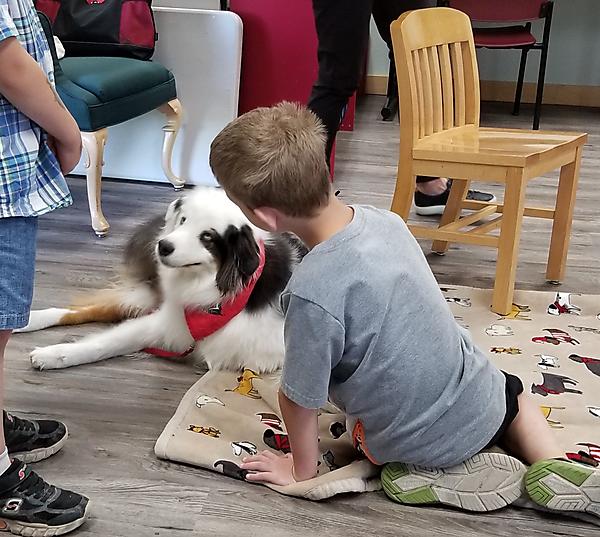 Boy petting a dog