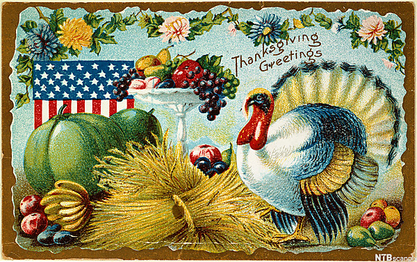 flag turkey USA Thanksgiving collage